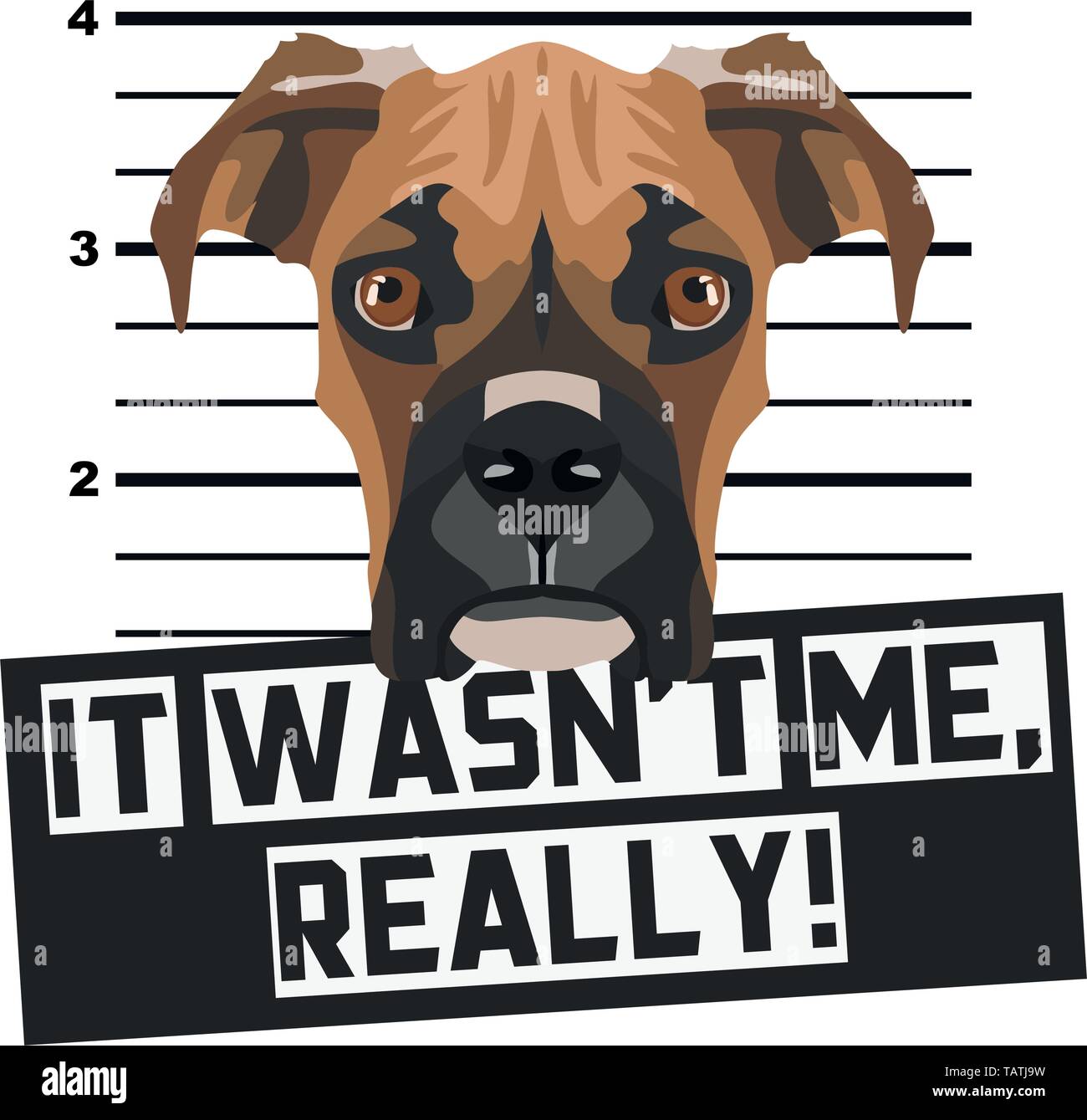 Illustration Mugshot Boxer - The guilty dog gets a police photo. Dog lovers and dog fans love them sassy dog. Stock Vector