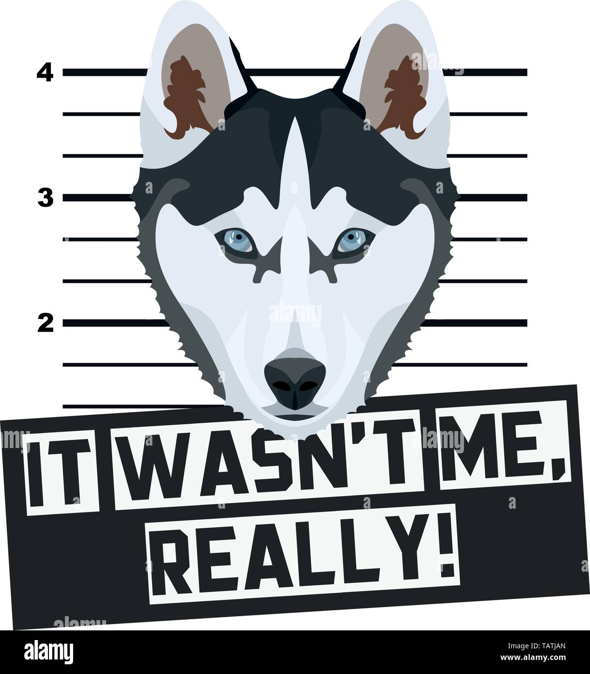 Illustration Mugshot Husky – The guilty dog gets a police photo. Dog lovers and dog fans love them sassy dog. Stock Vector