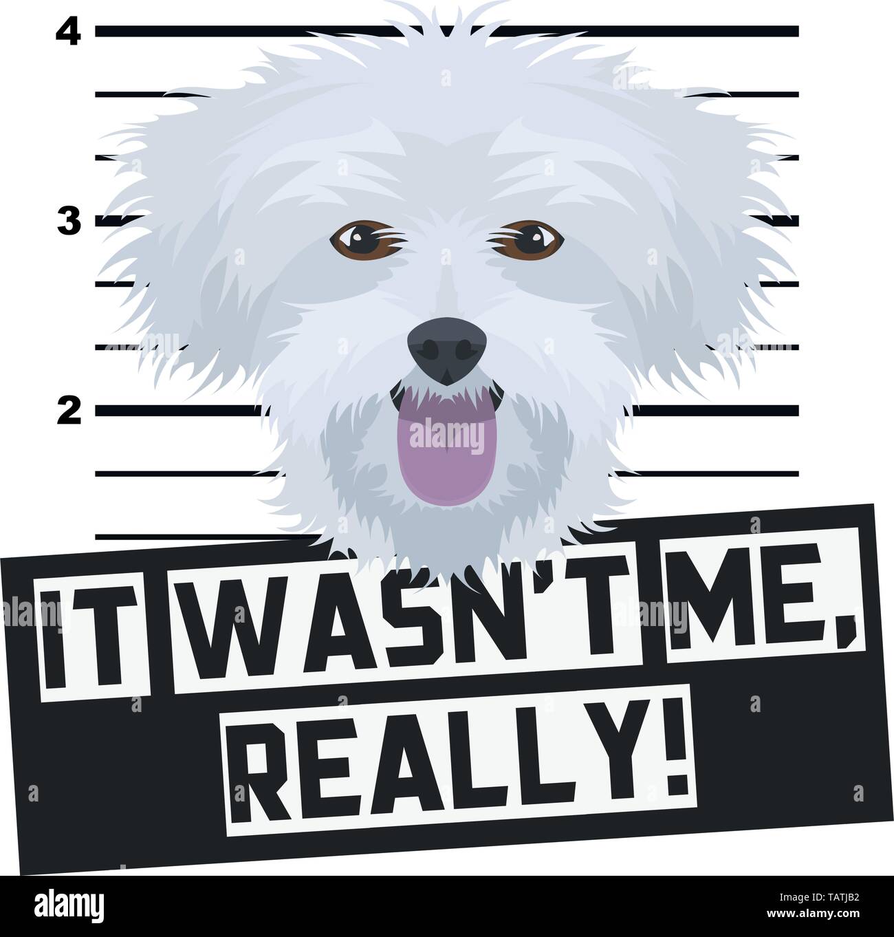 Illustration Mugshot Maltese - The guilty dog gets a police photo. Dog lovers and dog fans love them sassy dog. Stock Vector