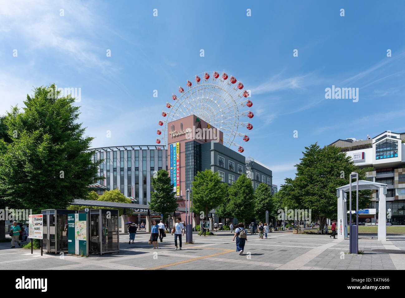 活動歴および当時の関連ビジュアル記録