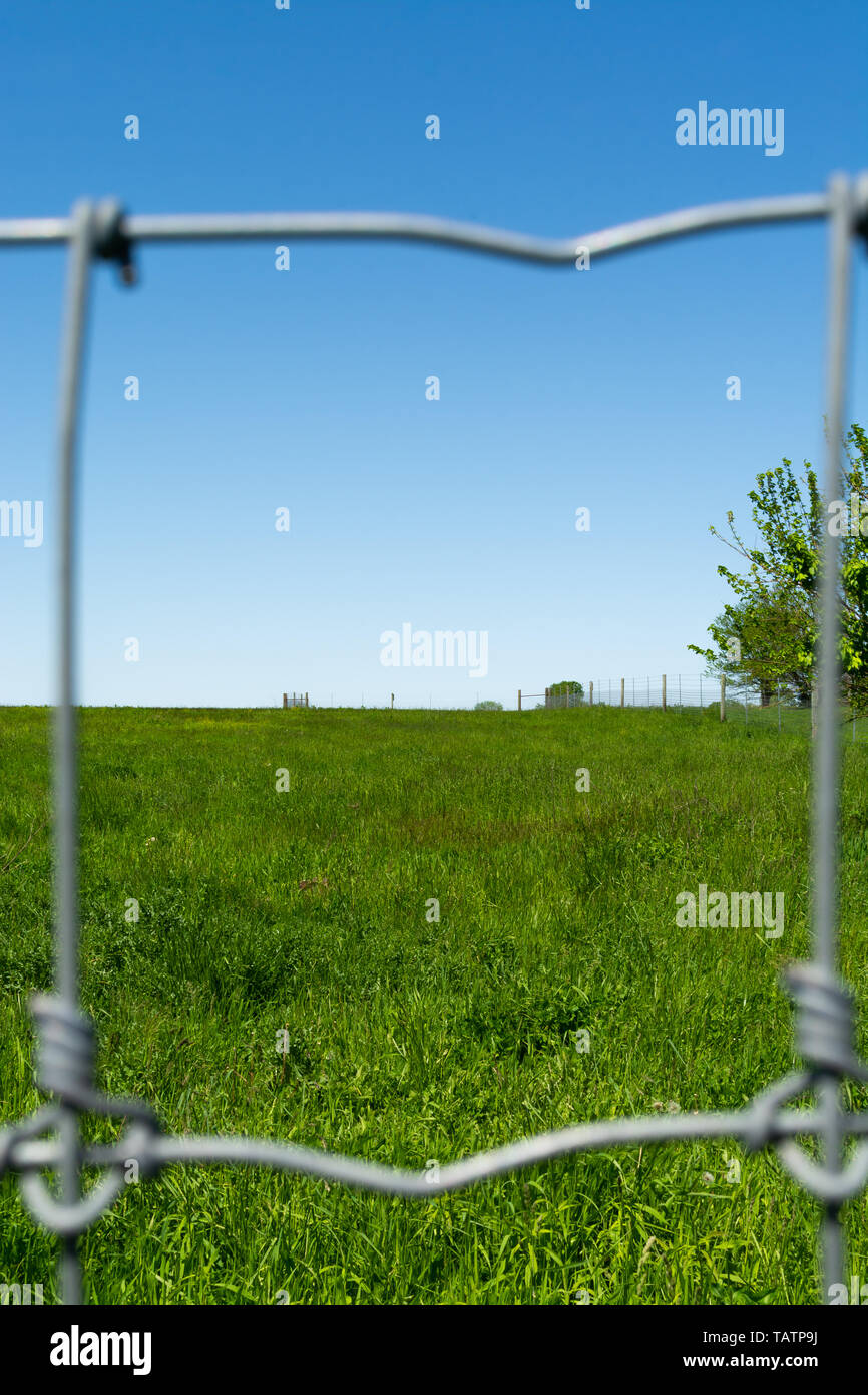 Metal fence with green grass and blue skies in the background Stock ...