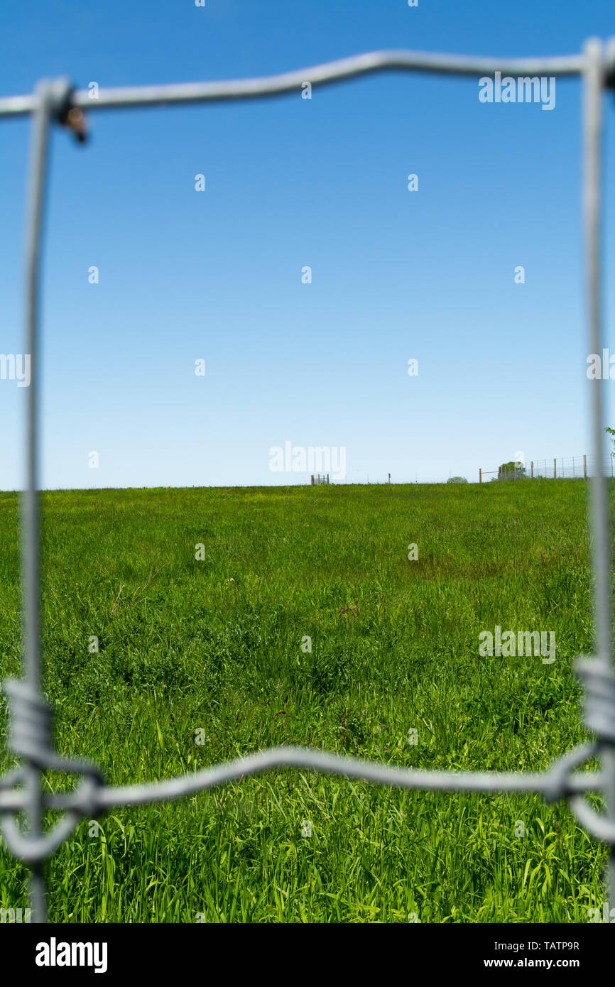Metal fence with green grass and blue skies in the background Stock ...