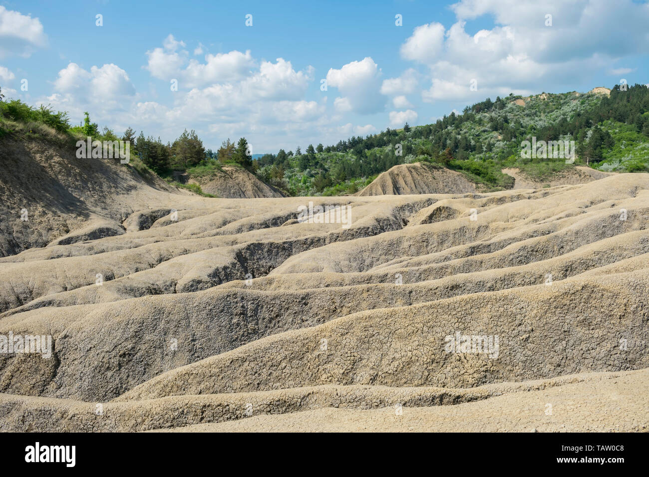 Dry barren land landscape with water torrents trenches and green hills in the background , near Buzau mountains , Romania Stock Photo