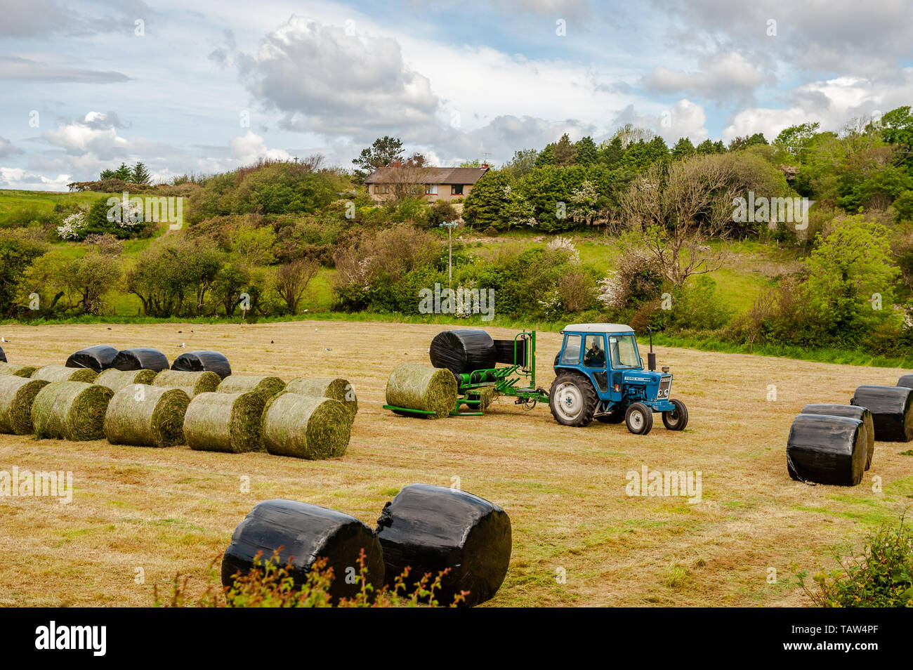 Durrus, West Cork, Ireland. 28th May, 2019. Alan Pyburn of John O'Driscoll contractors wraps bails for Durrus farmer Joe Collins. Credit: Andy Gibson/Alamy Live News. Stock Photo