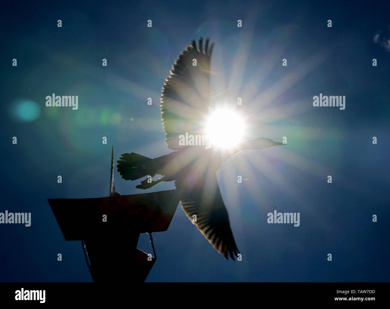 Sonne zum auto -Fotos und -Bildmaterial in hoher Auflösung – Alamy