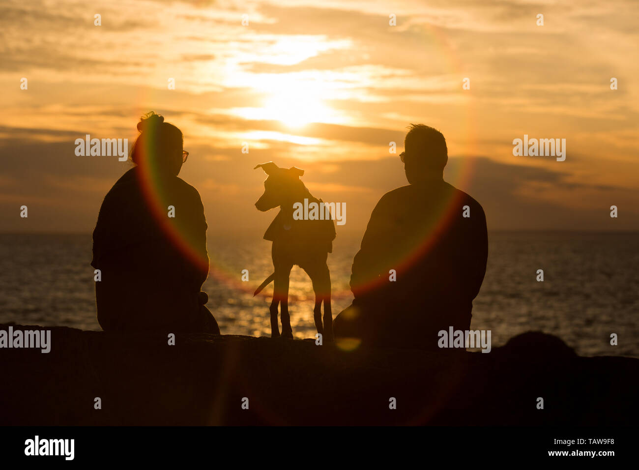 Portland, Dorset, UK. 28th May, 2019. A couple and their dog enjoy a sunset. Stock Photo