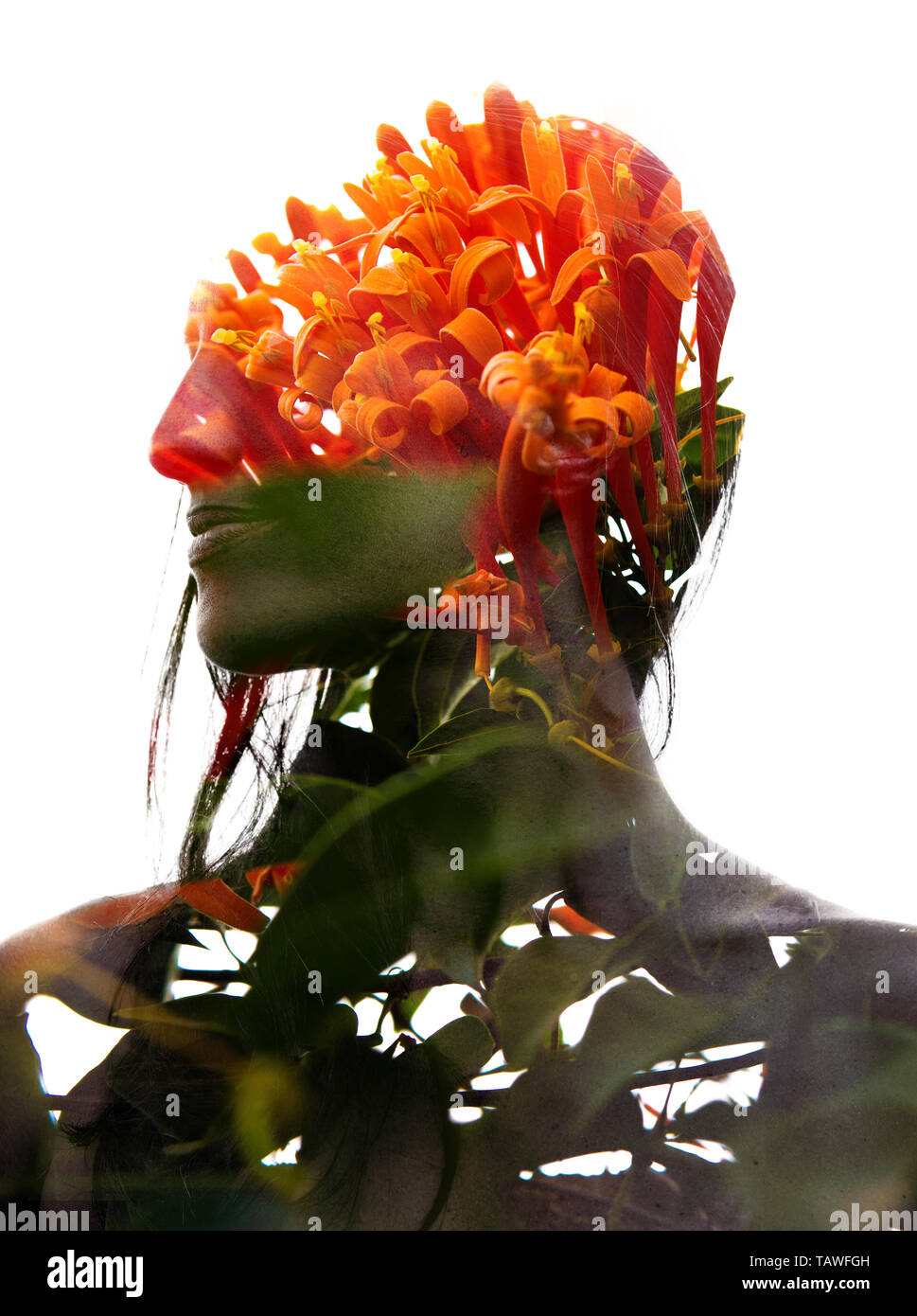 Double exposure portrait combining beautiful flowers and branches with ...