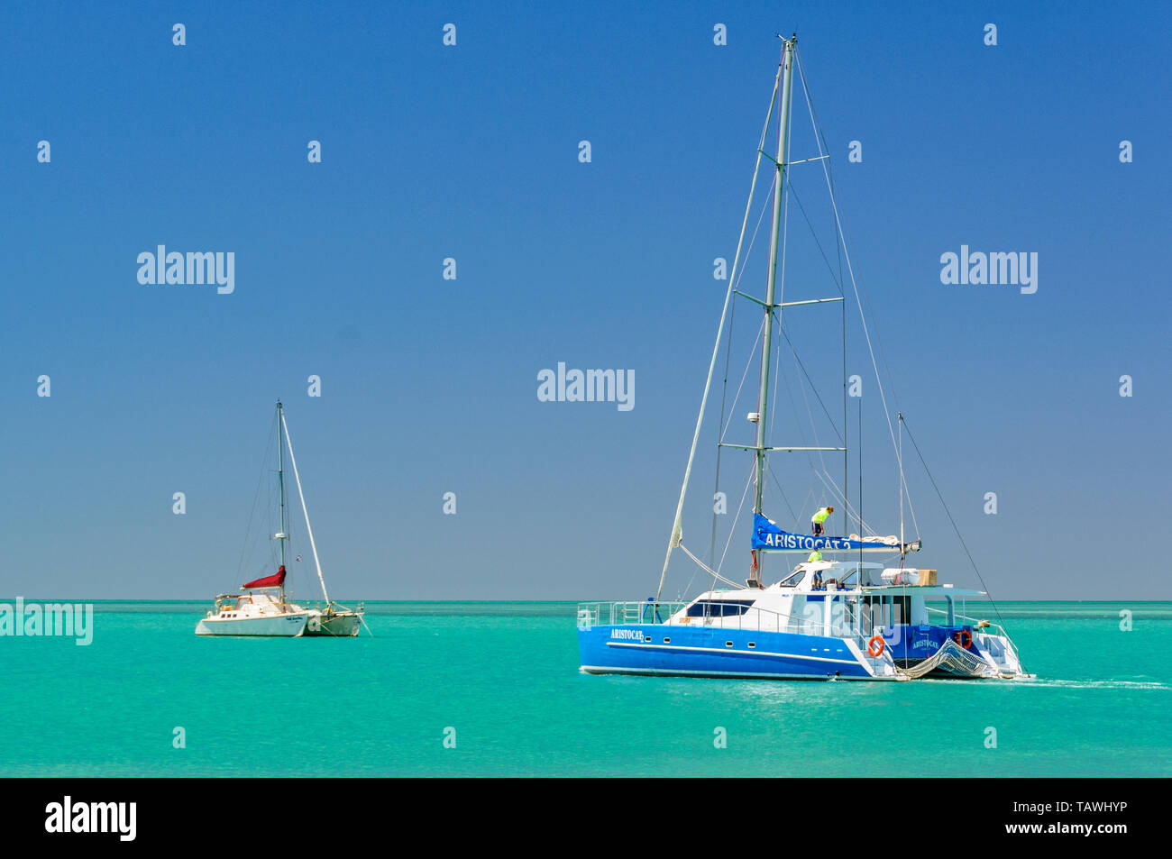 monkey mia catamaran trips