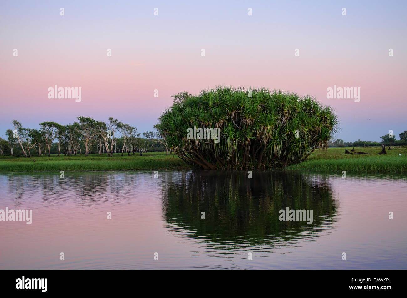 Yellow Water billabong at sunrise on a Summers morning, Kakadu ...