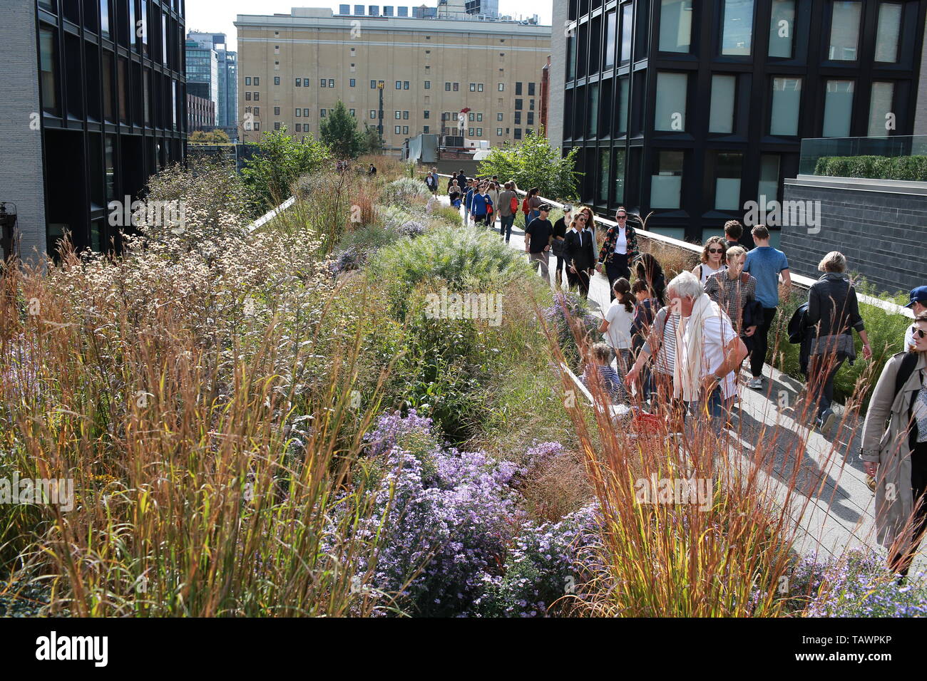 nidentified tourists visit the high line park in New York on  Thehigh line park built in Manhattan on an elevated section of a disused new york centra Stock Photo