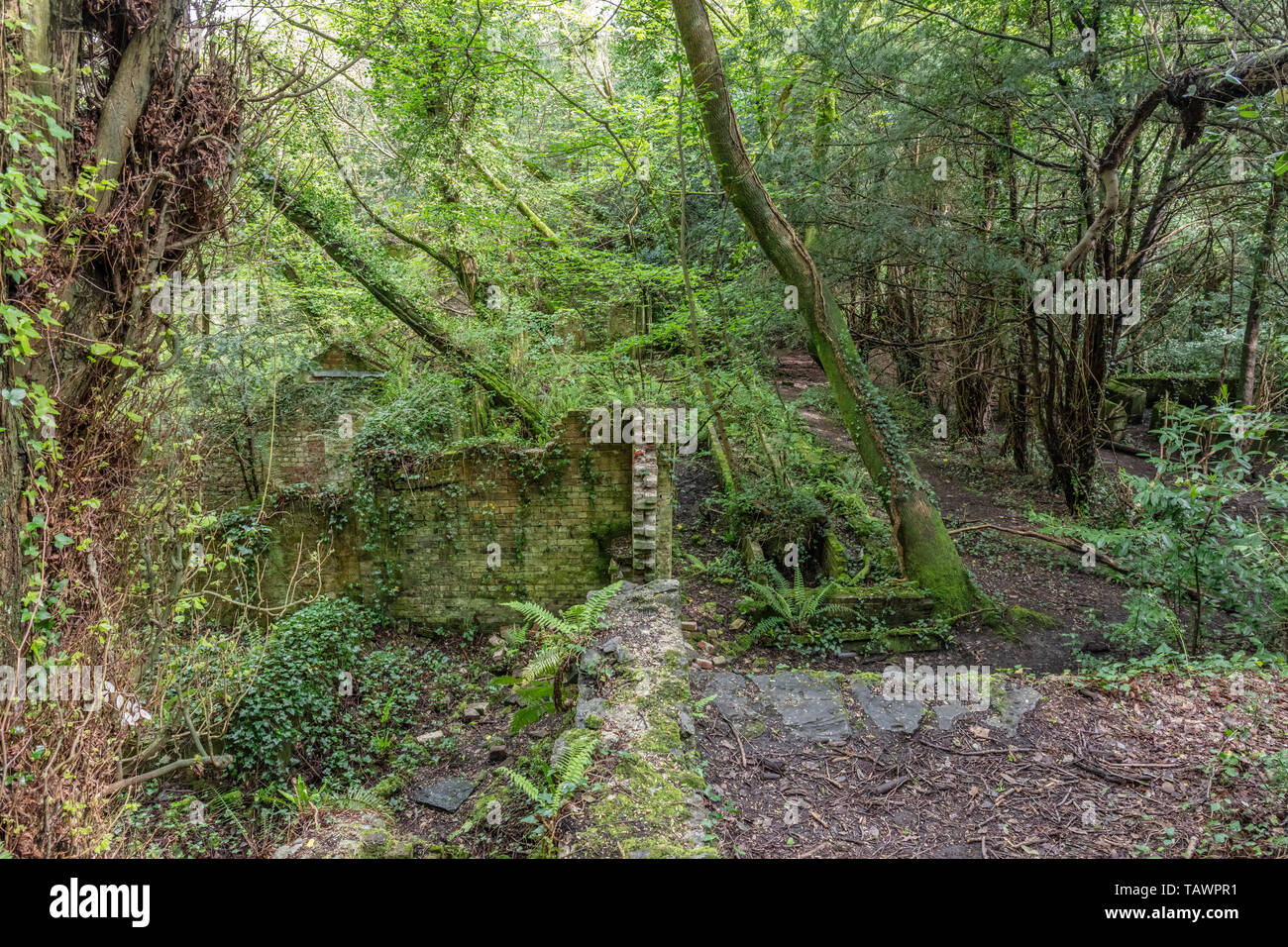 Greenhouses, Baron Hill House, Beaumaris, Anglesey UK mansion by