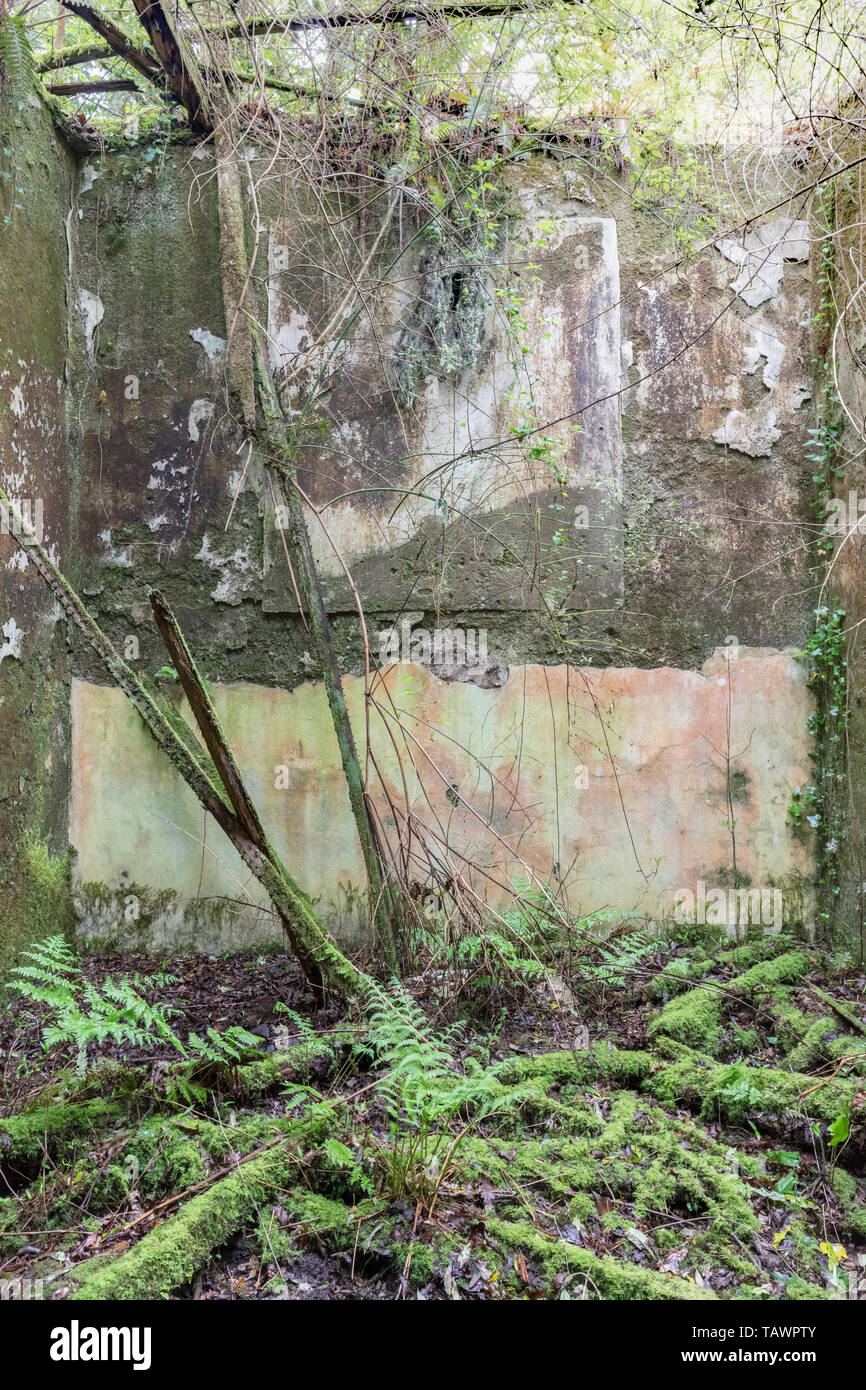 Greenhouses, Baron Hill House, Beaumaris, Anglesey UK -  mansion by Samuel Wyatt for Bulkeley family, abandoned due to death tax early 20C Stock Photo