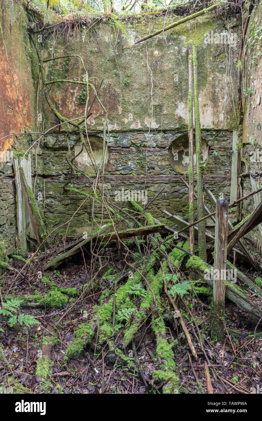 Greenhouses, Baron Hill House, Beaumaris, Anglesey UK mansion by