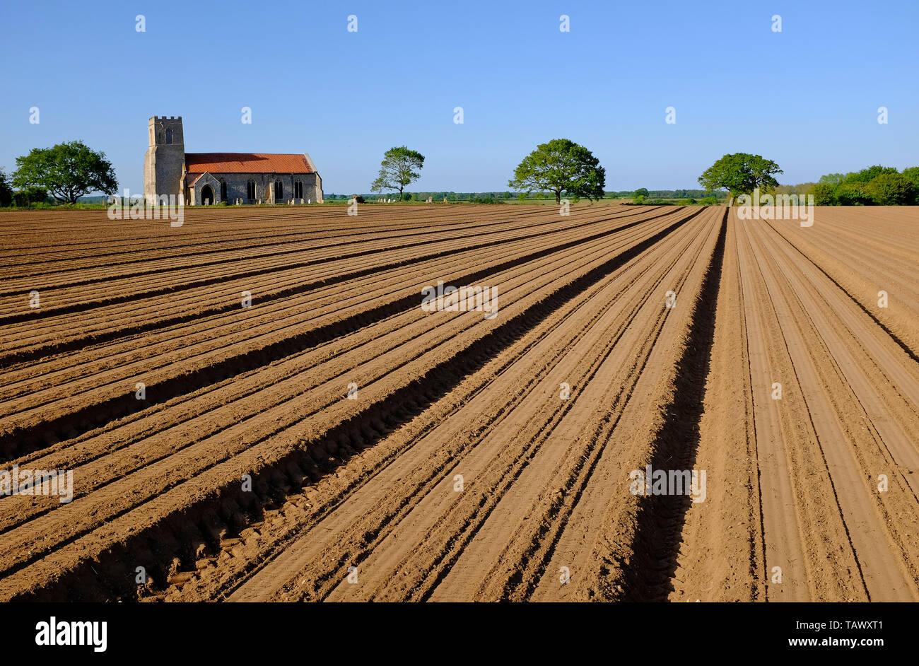 ploughed field furrows, saxthorpe, north norfolk, england Stock Photo
