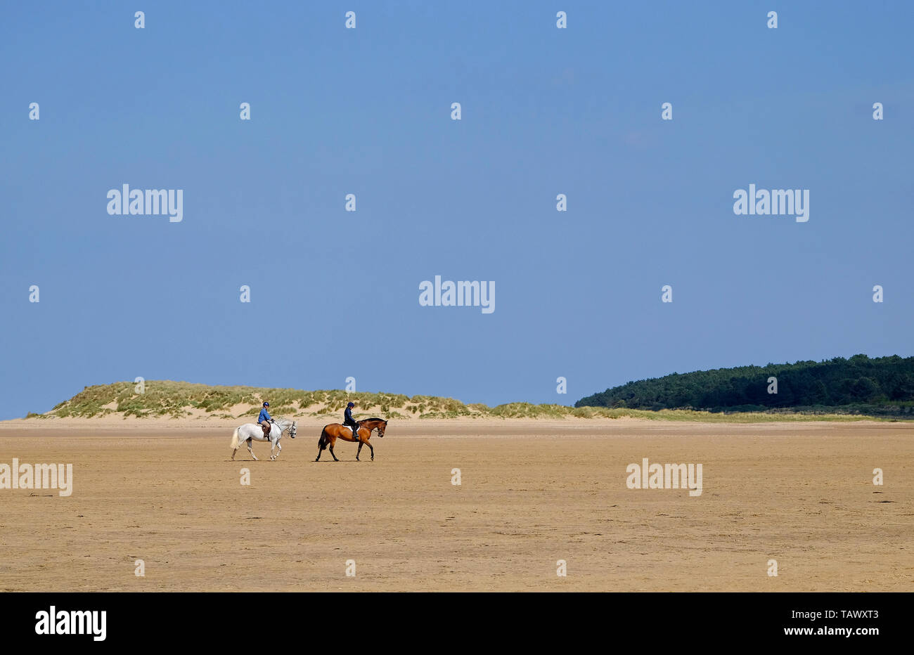 horse riding on holkham beach, north norfolk, england Stock Photo
