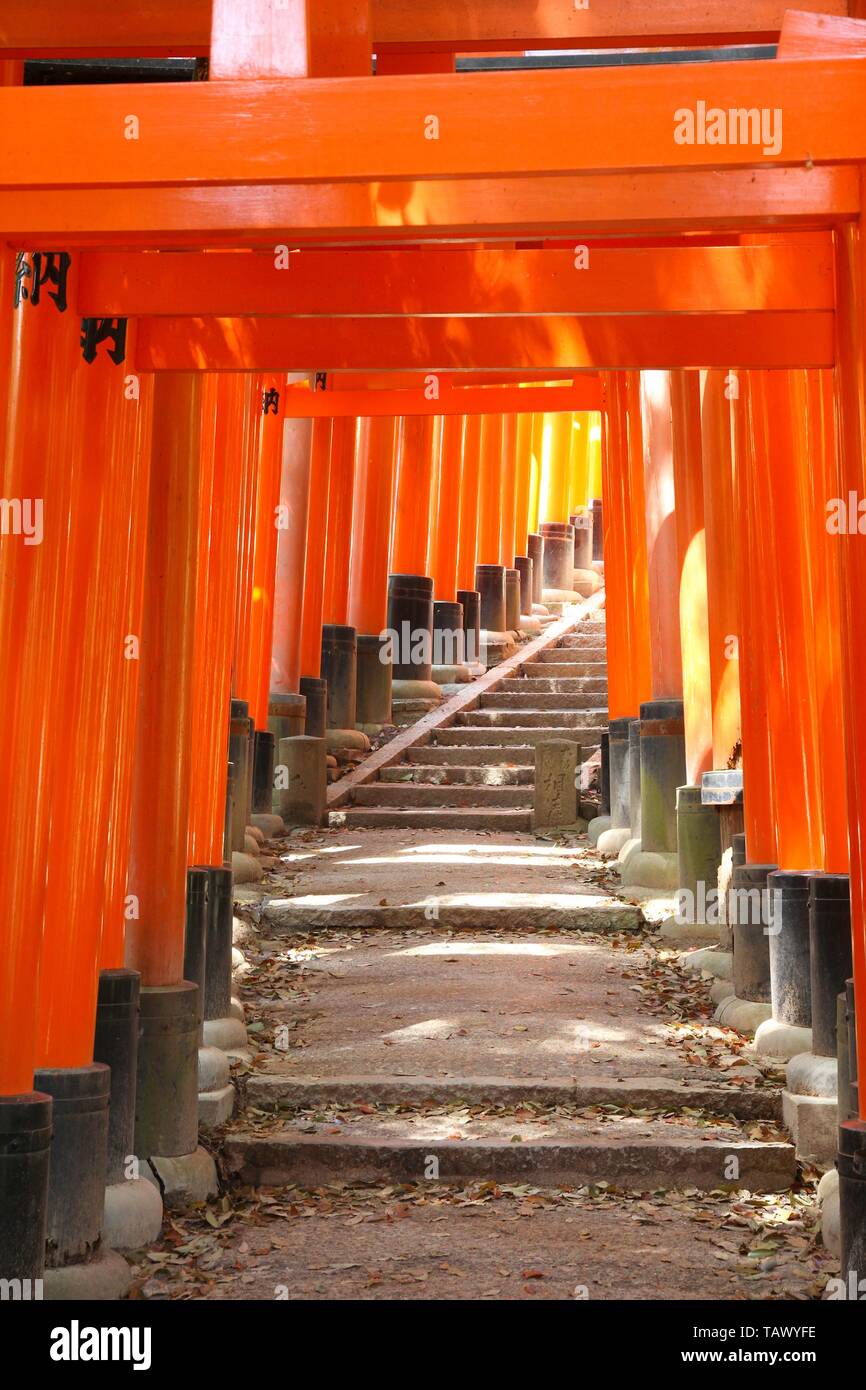 Fushimi Inari Taisha shrine in Kyoto prefecture of Japan. Famous shinto ...