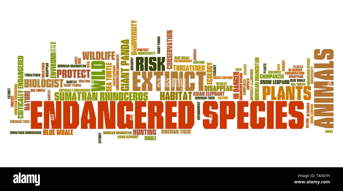 Endangered animals collage hi-res stock photography and images - Alamy