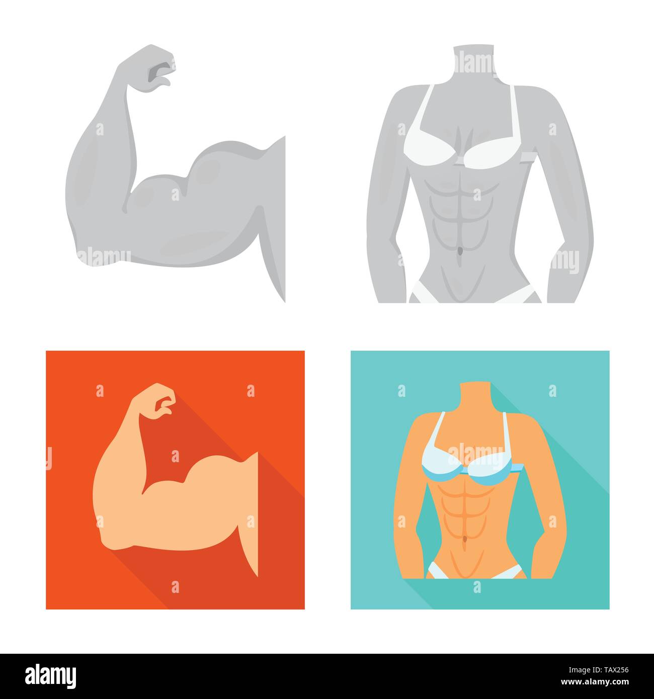 Bodybuilder illustration biceps woman Stock Vector Images - Alamy