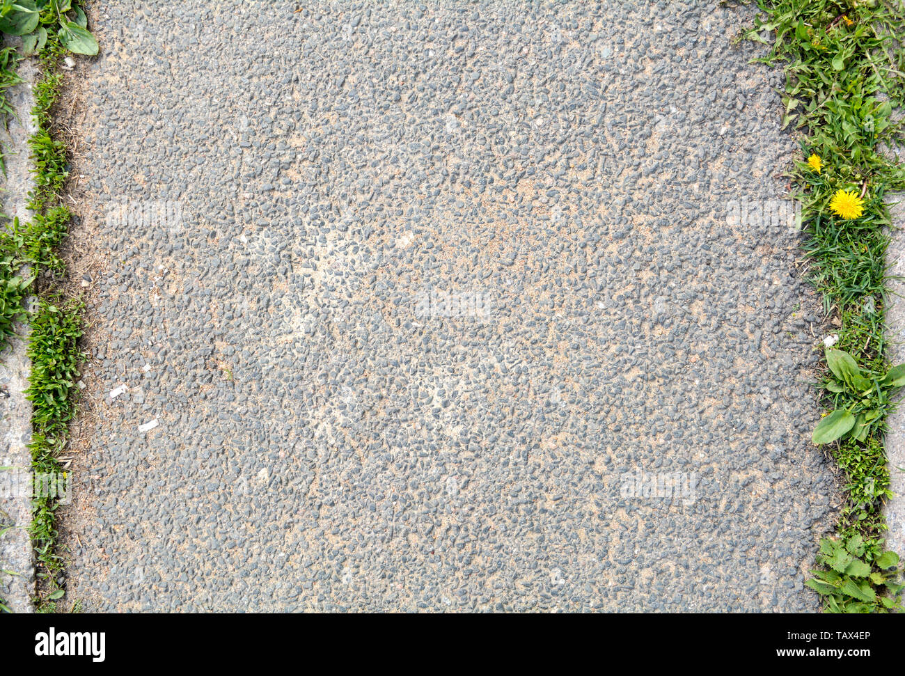 Footpath Texture With Grass