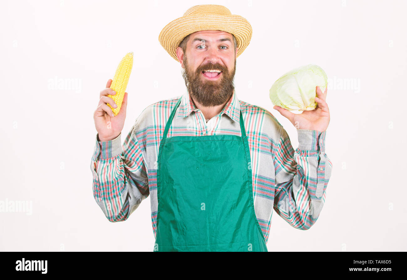 Farmer straw hat hold corncob cabbage vegetable. Fresh organic ...