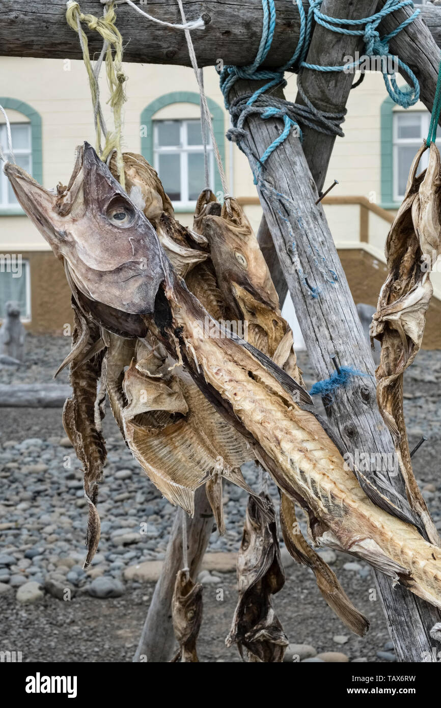 Iceland dried fish hires stock photography and images Alamy
