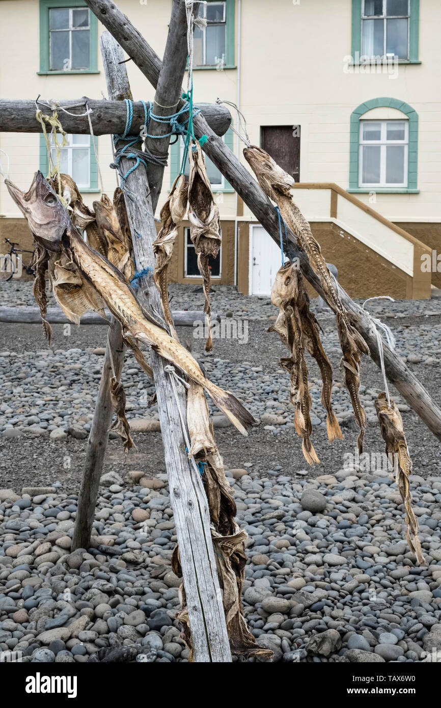 Hvammstangi, Iceland. Old fish on an outdoor drying rack Stock Photo