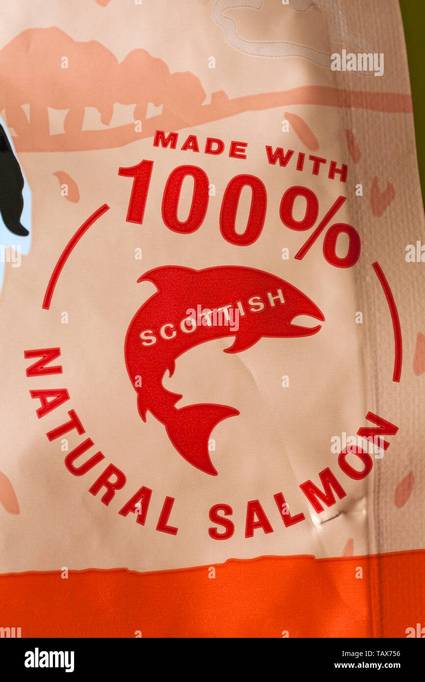 barking heads salmon