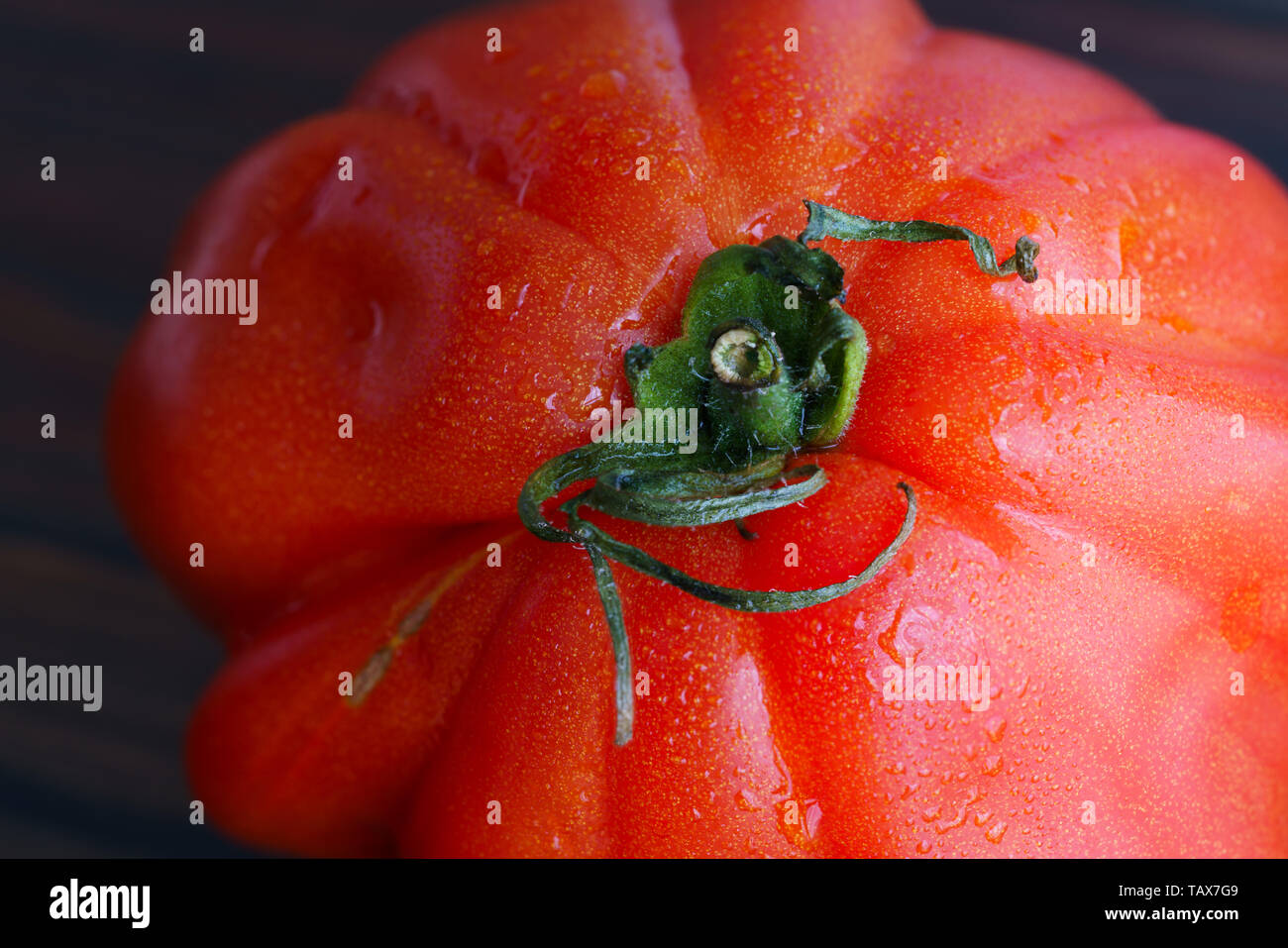 Macro shot of a freshly harvested oxheart tomato. Dark wooden table, high resolution Stock Photo