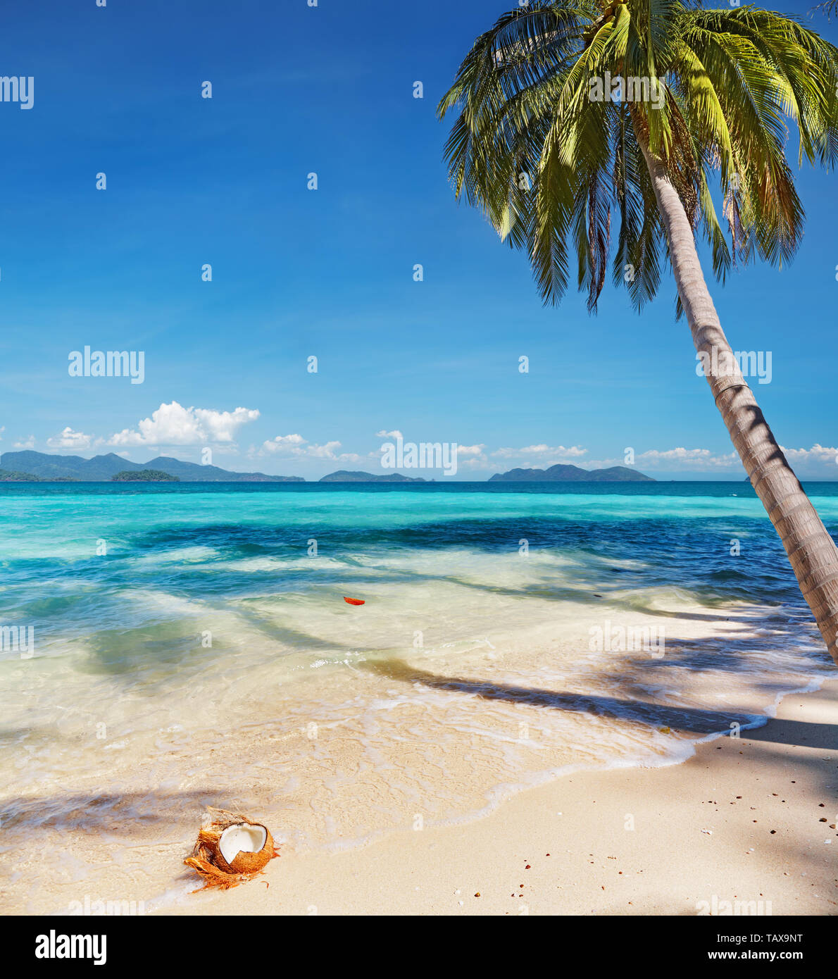 Tropical beach with coconut palms, Whai island, Thailand Stock Photo