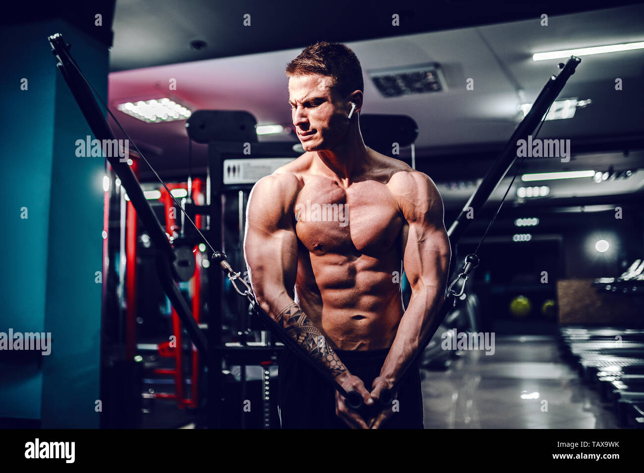 Pectoral Fly Stock Photos Pectoral Fly Stock Images Alamy Images, Photos, Reviews