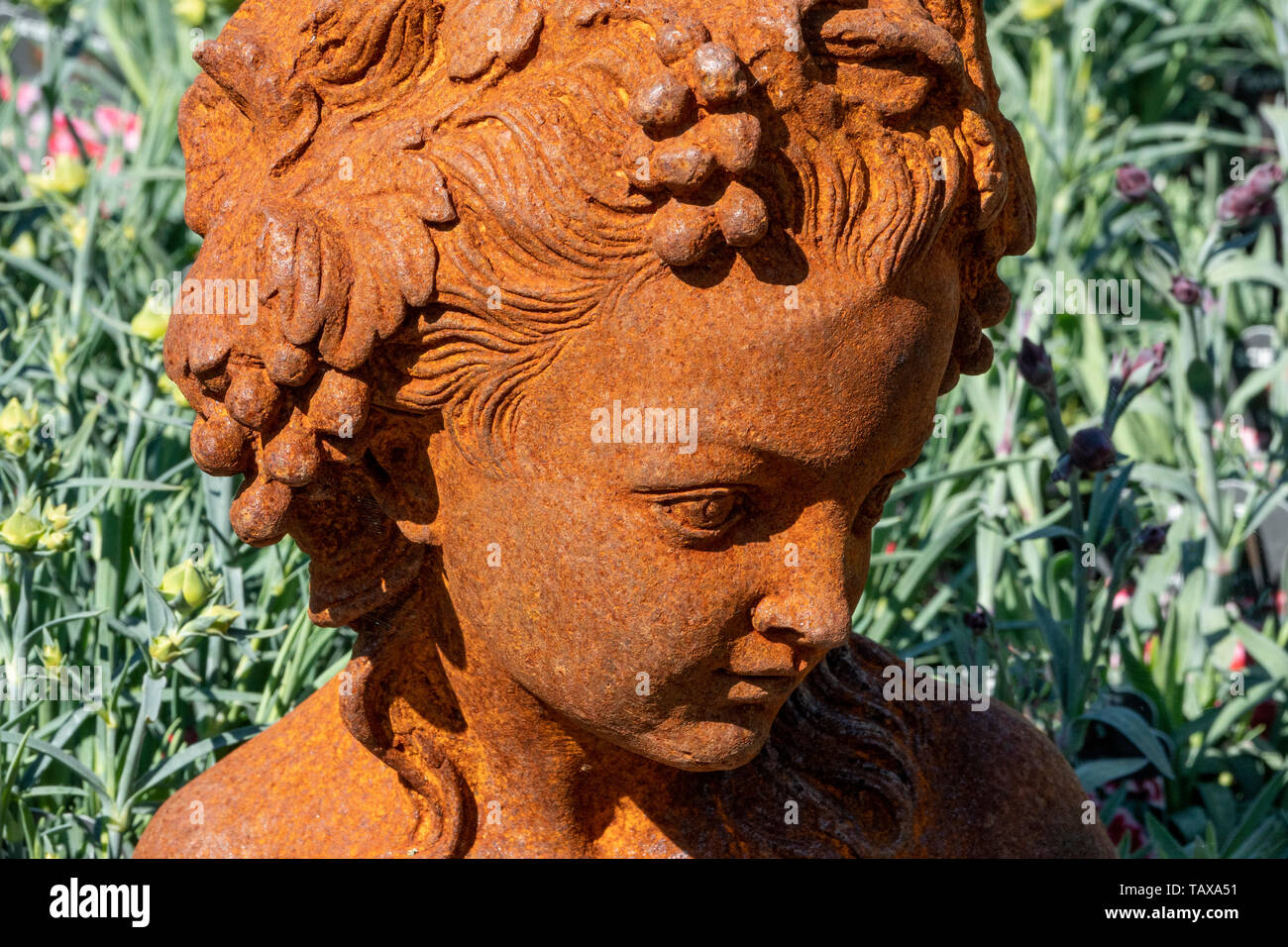 A lifelike female statue head cast in metal with heavy rust against dense green foliage used as a garden ornament Stock Photo