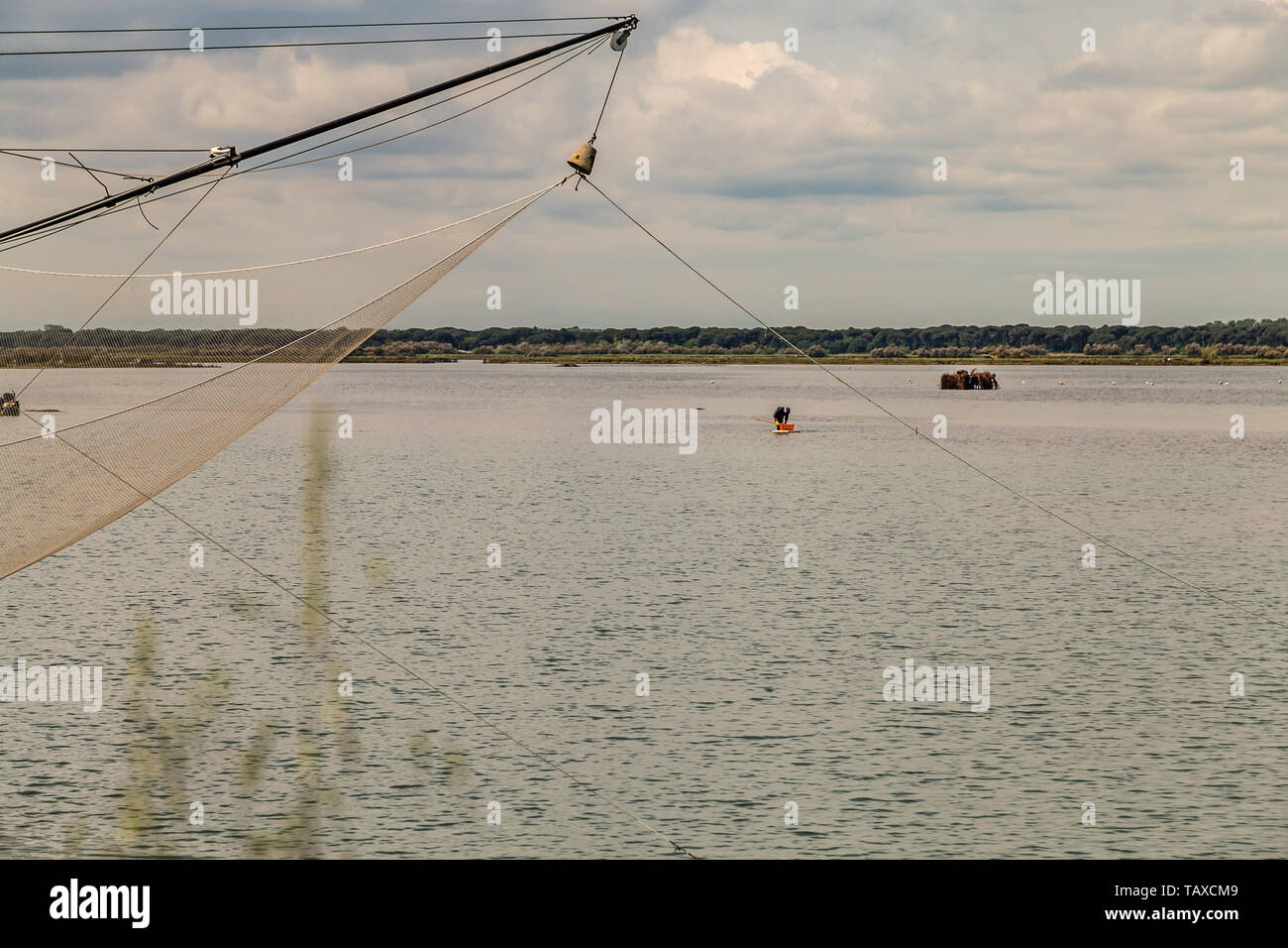men fishing clams in brackish lagoon in Marina Romea, Italy Stock Photo