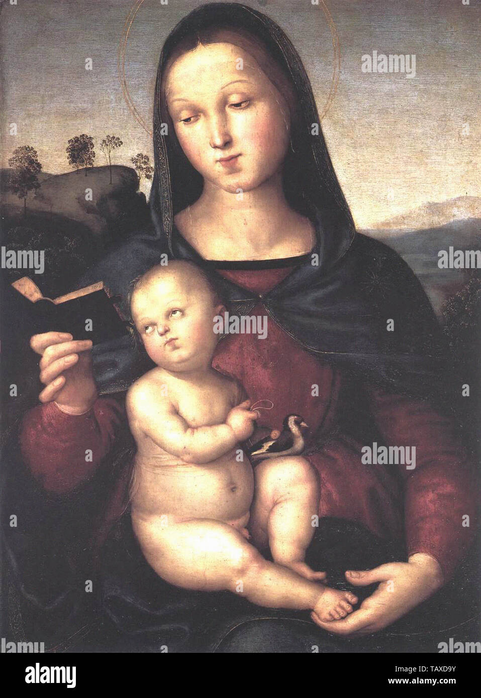 Raffaello Sanzio Da Urbino - Raphael - Solly Madonna C 1502 Stock Photo
