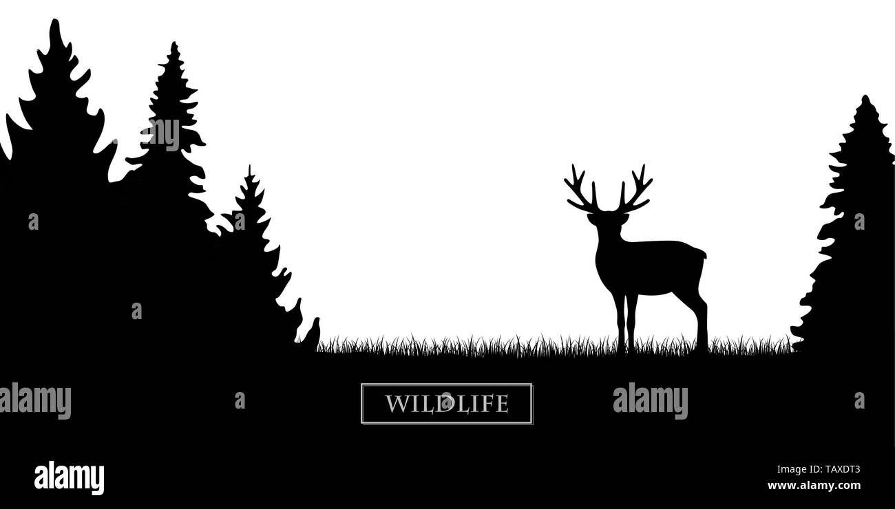 wildlife reindeer silhouette in the forest on the meadow black and white vector illustration EPS10 Stock Vector