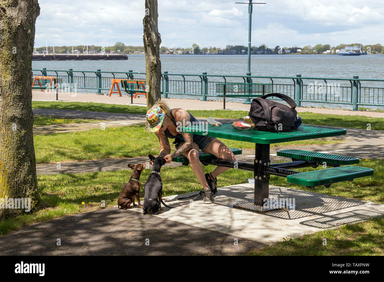 Canada-26 May 2019 Regard sur le fleuve park sunny afternoon at Stock Photo -
