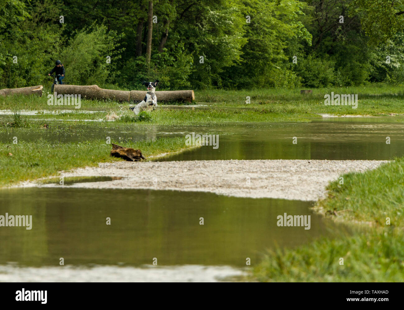 Munich, Isar, Brudermuehlbruecke, Mai 22, 2019: Storm Deep Axel Is ...