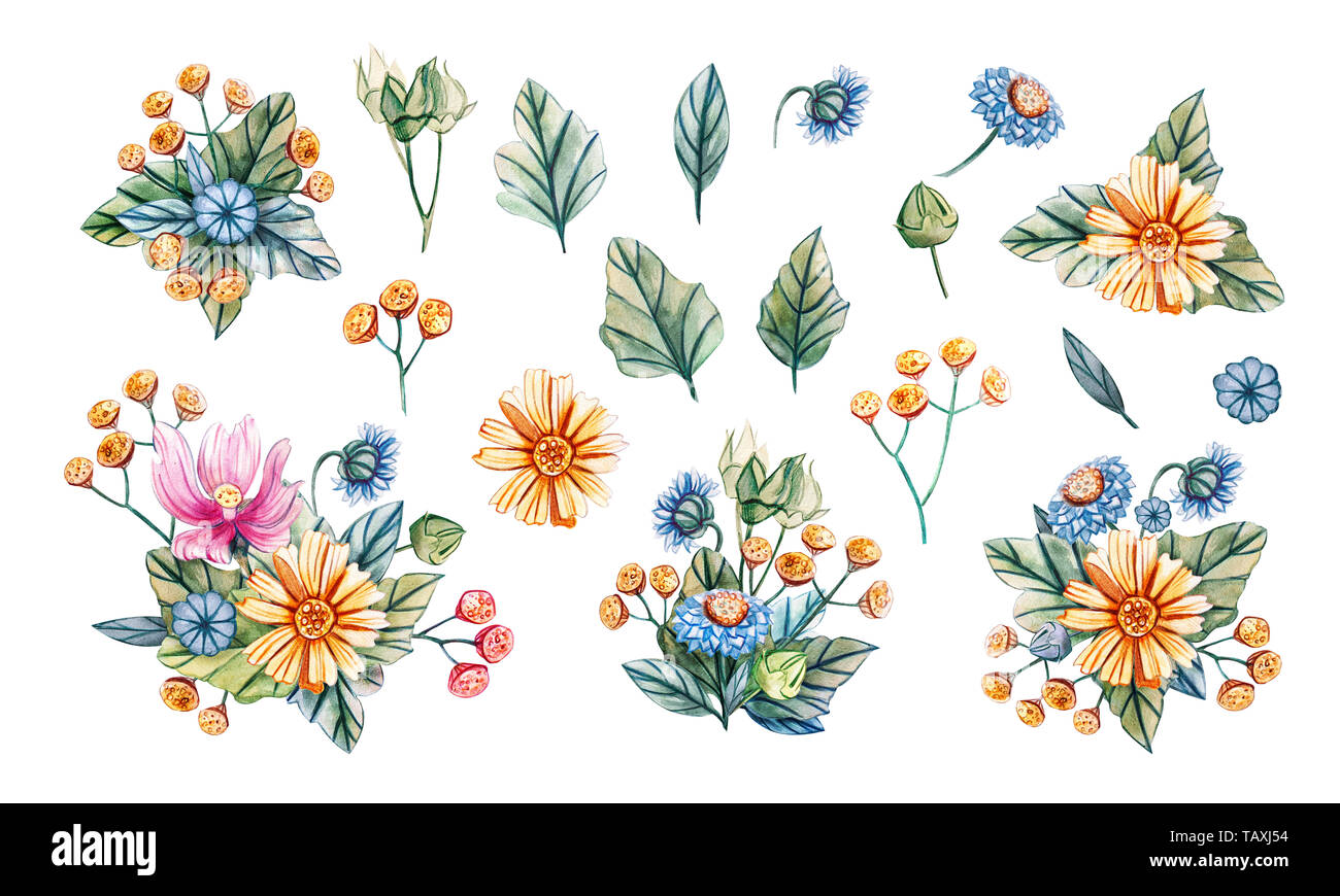 Hand-drawn bouquets of wildflowers. Watercolor summer set of illustrations with mallow, tansy, and chamomile. Template for greeting cards, fabrics, we Stock Photo