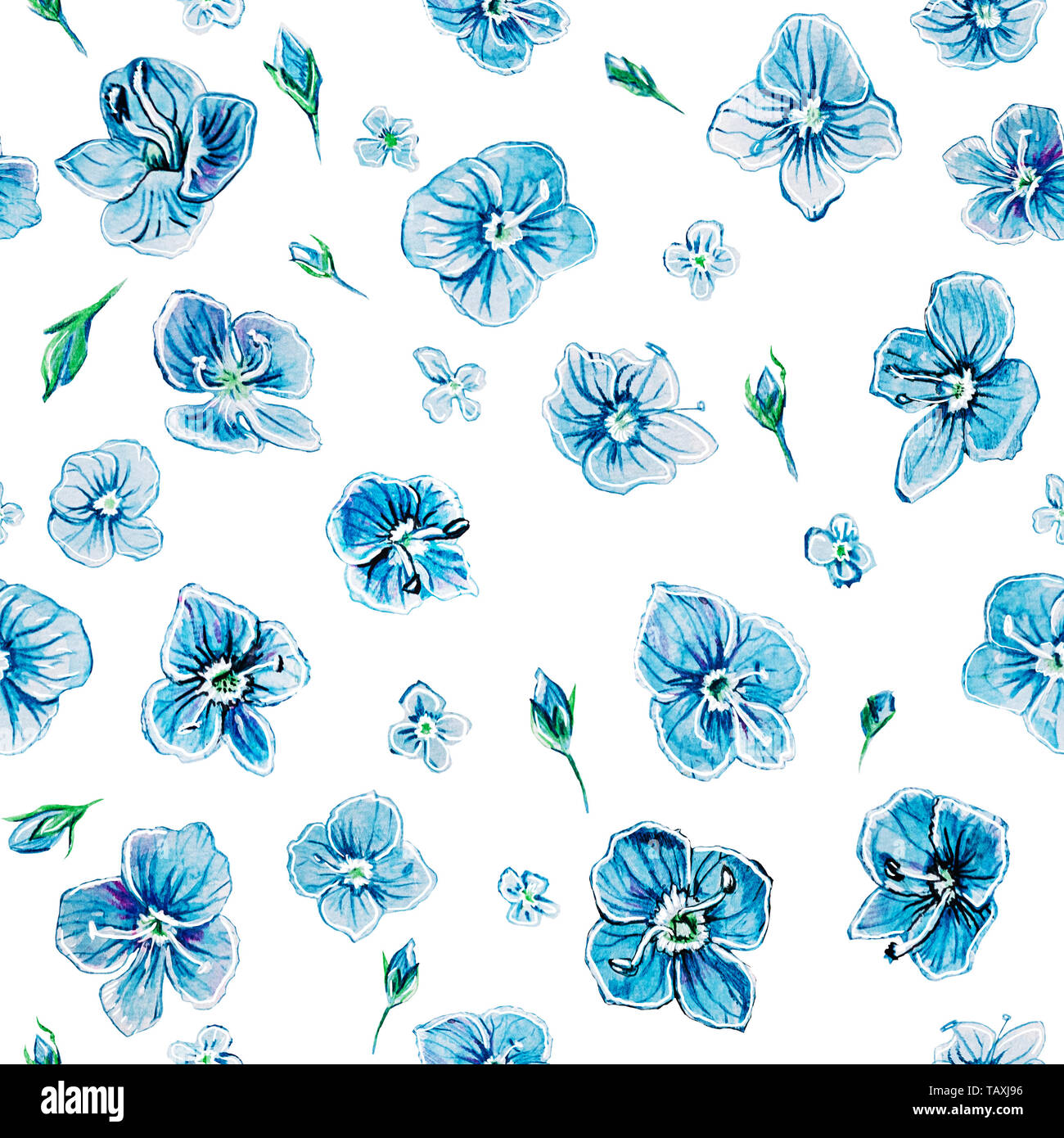 Seamless pattern with wildflower Veronica. Small blue flower on a white background. The concept of spring bloom. Stock Photo
