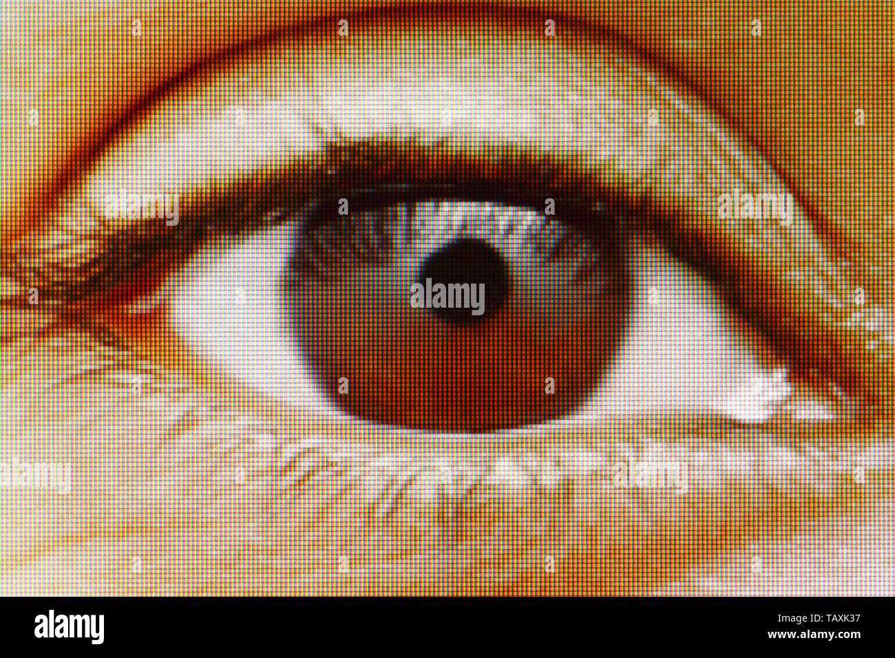 LED screen close up of an Indian Asian woman's eye, with visible screen resolution and RGB pixels Stock Photo