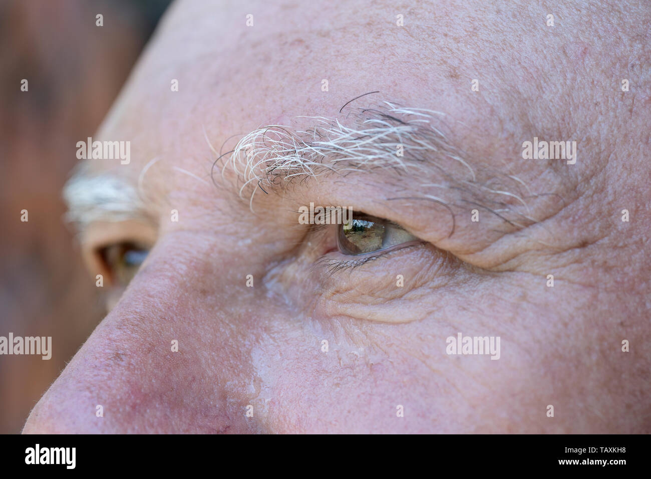 Close up eye of caucasian old man. Portrait of old man outdoors. Caucasian male face background, close up eyes, macro Stock Photo