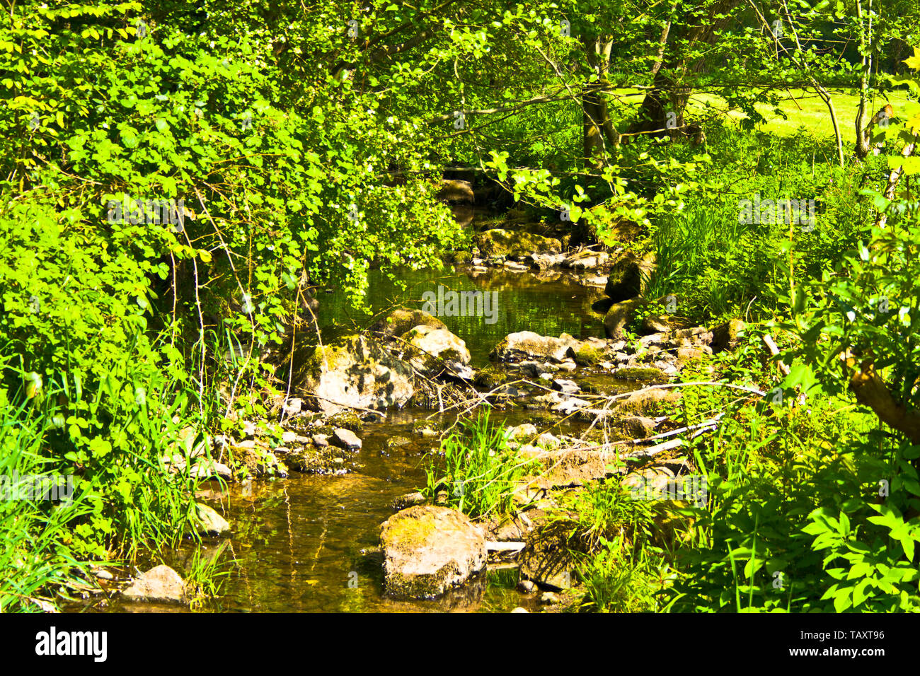 Standing small Bavarian river in spring at sunshine Stock Photo - Alamy