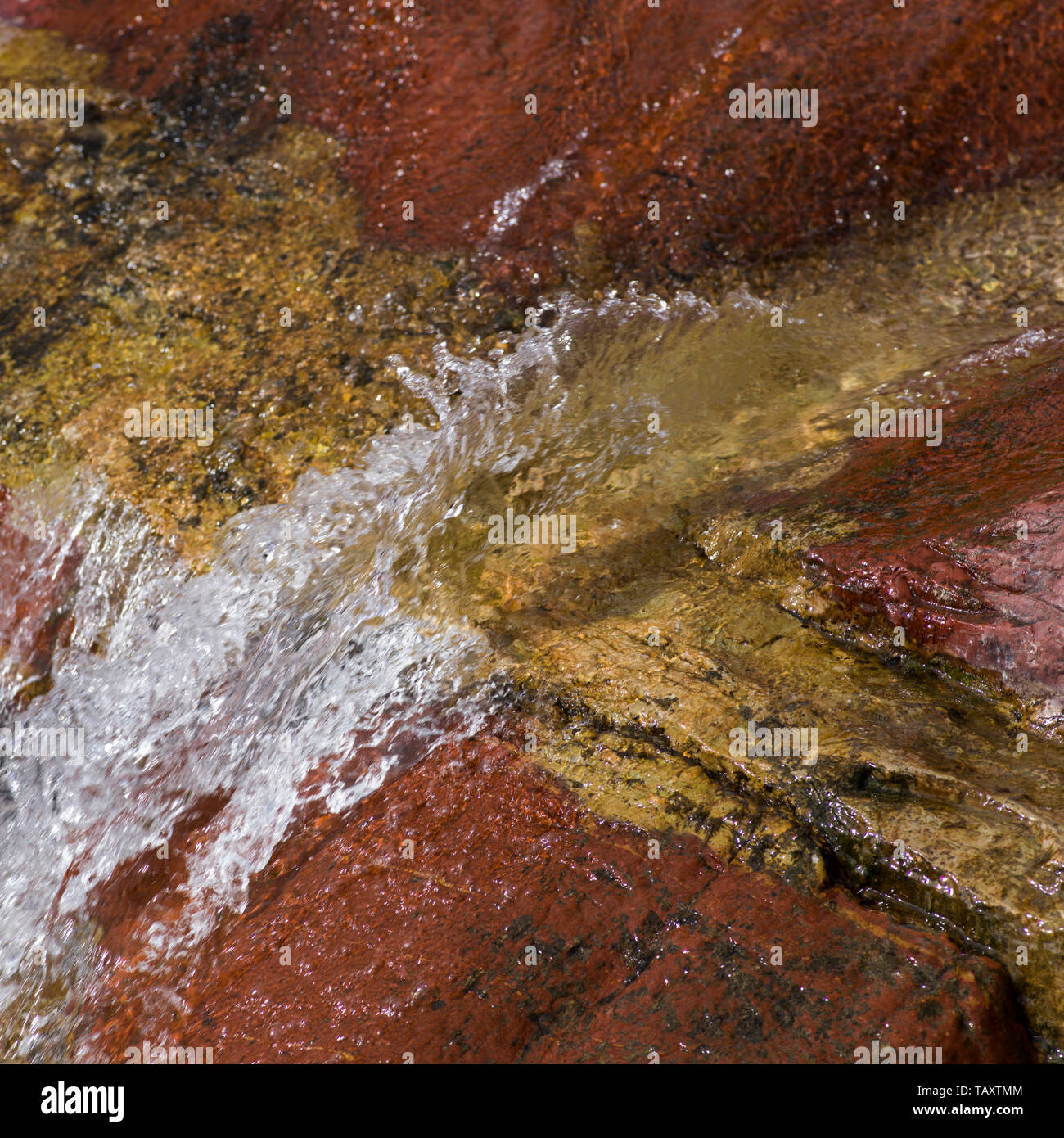 My Image 31