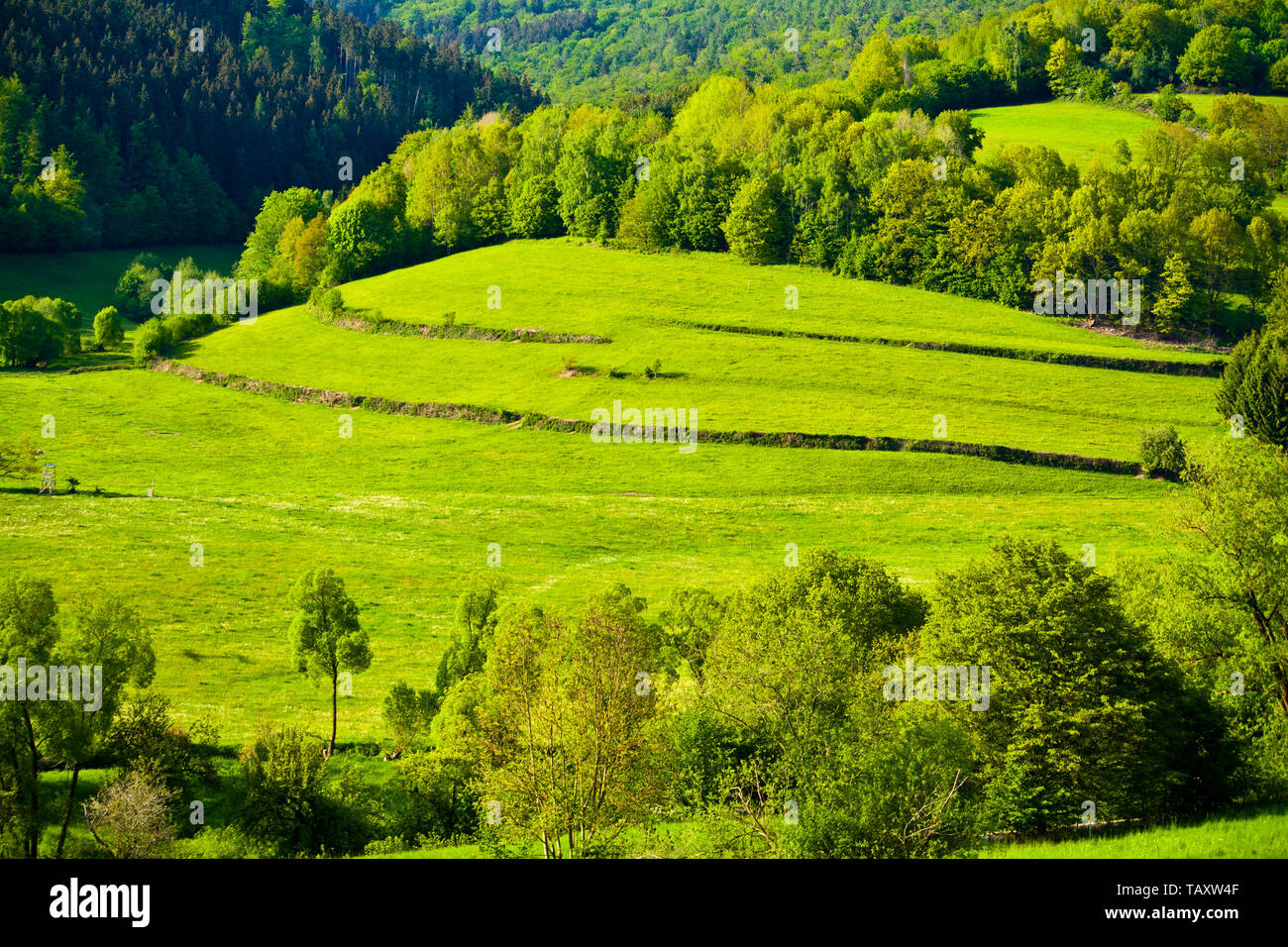Green hills of bavaria hi-res stock photography and images - Alamy