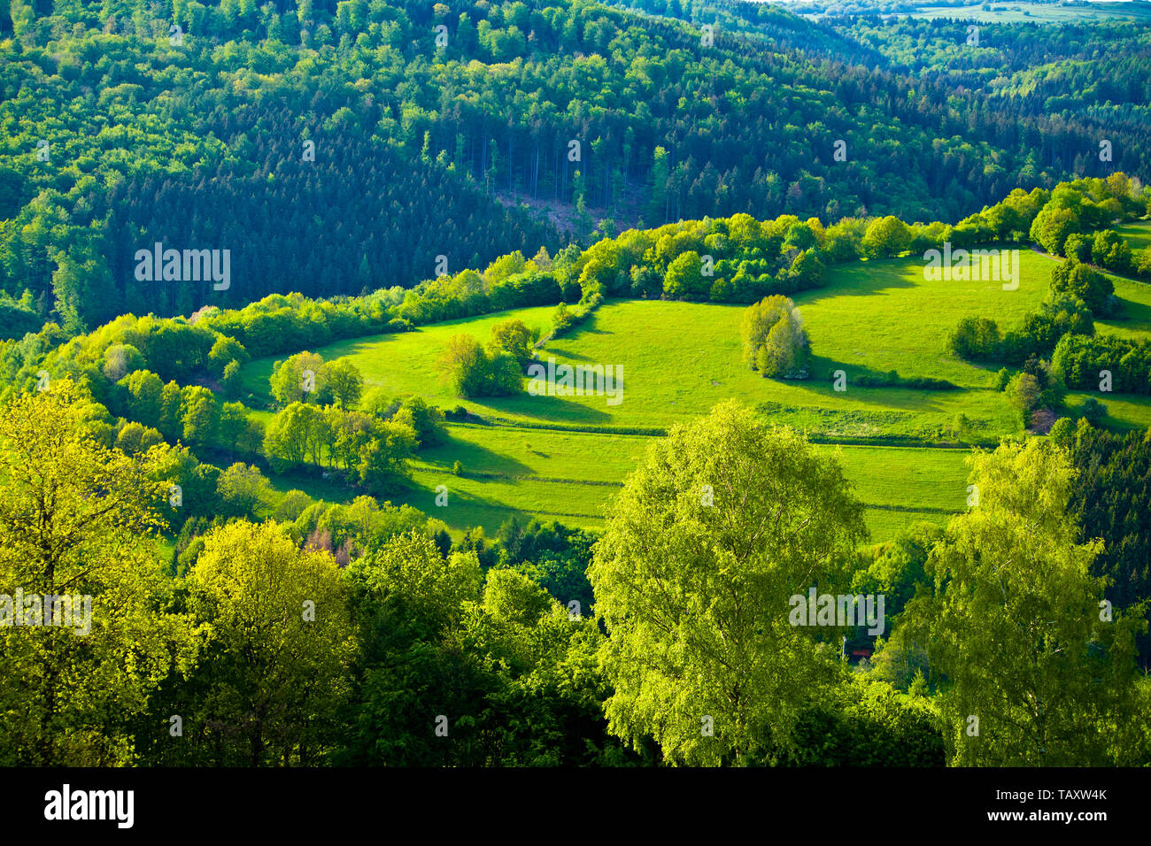 Green hills of bavaria hi-res stock photography and images - Alamy