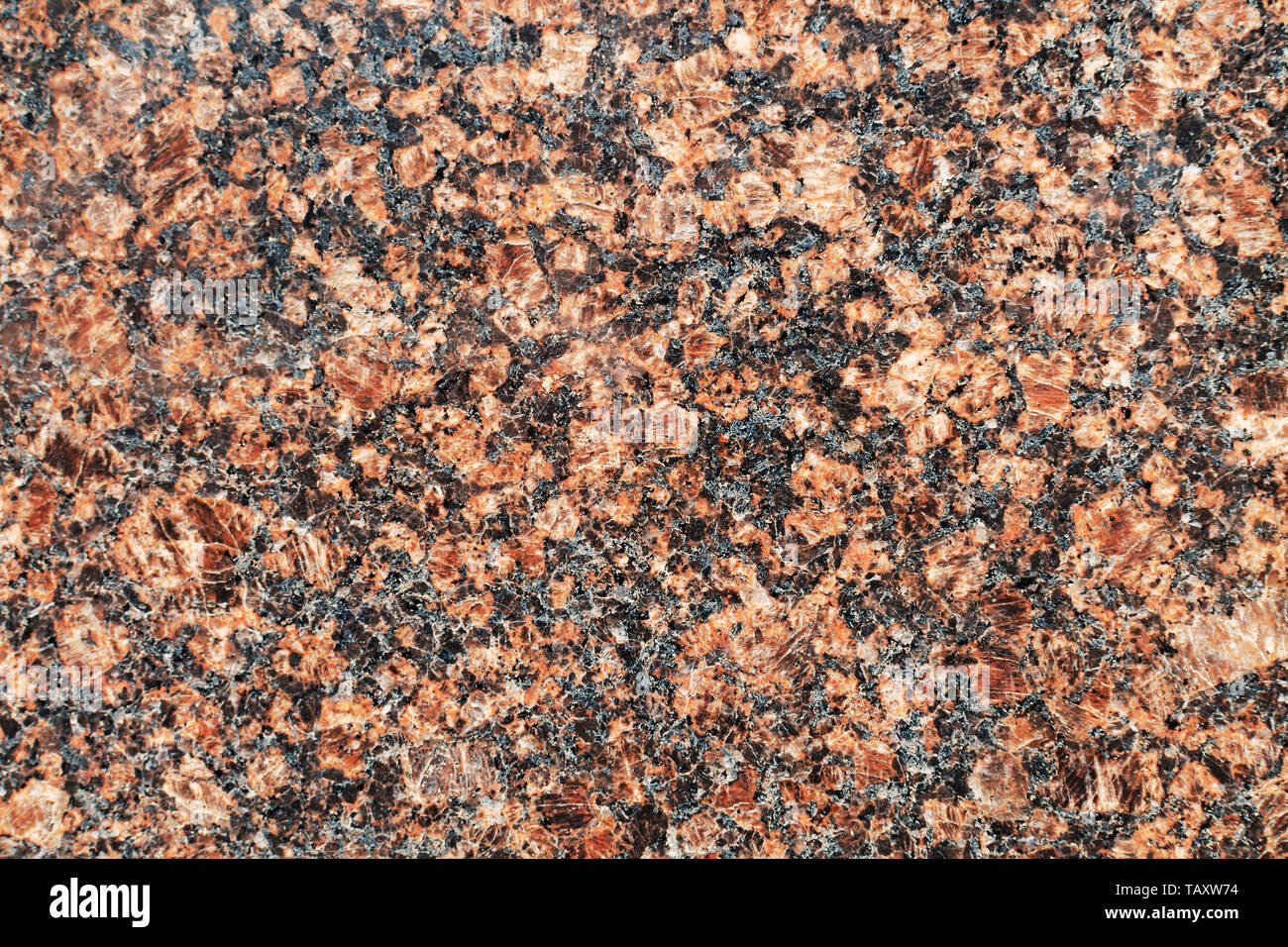 Glossy polished abstract texture of rapakivi granite consists of oligoclase, orthoclase, idiomorphic quartz with black coral chaotic splashes. Stock Photo