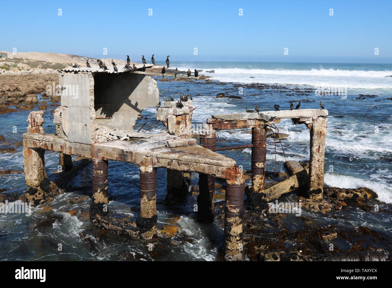 Thorn Bay South Africa Stock Photo
