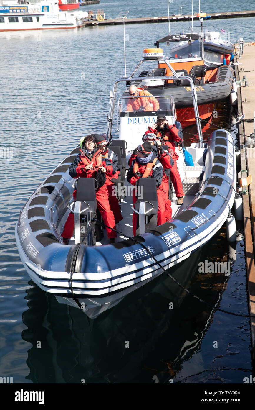 People on a jet boat leave the harbour to go on a whale watching tour in  Reykjavík, Iceland Stock Photo - Alamy