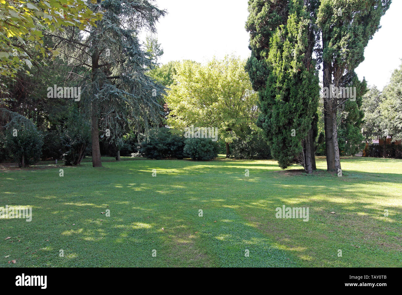 Green Park With High Trees and Grass Lawn Stock Photo - Alamy