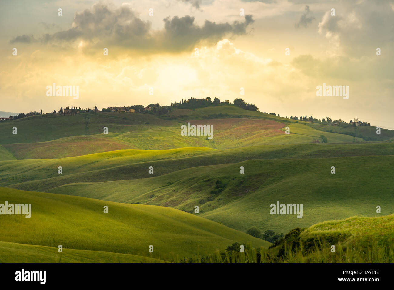 Rolling hills in Tuscany on a sunny day with dramatic clouds Stock Photo
