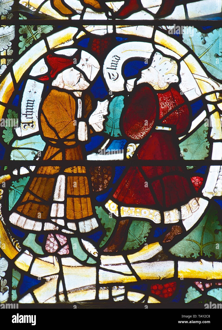 15th Century Stained Glass Jesse Window Detail St Margaret S Church Margaretting Essex Mamiya 645 Super Fuji Velvia Stock Photo Alamy